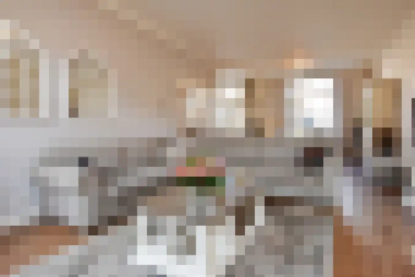 Willem Beukelszoonstraat 24 Den Haag thumbnail 11