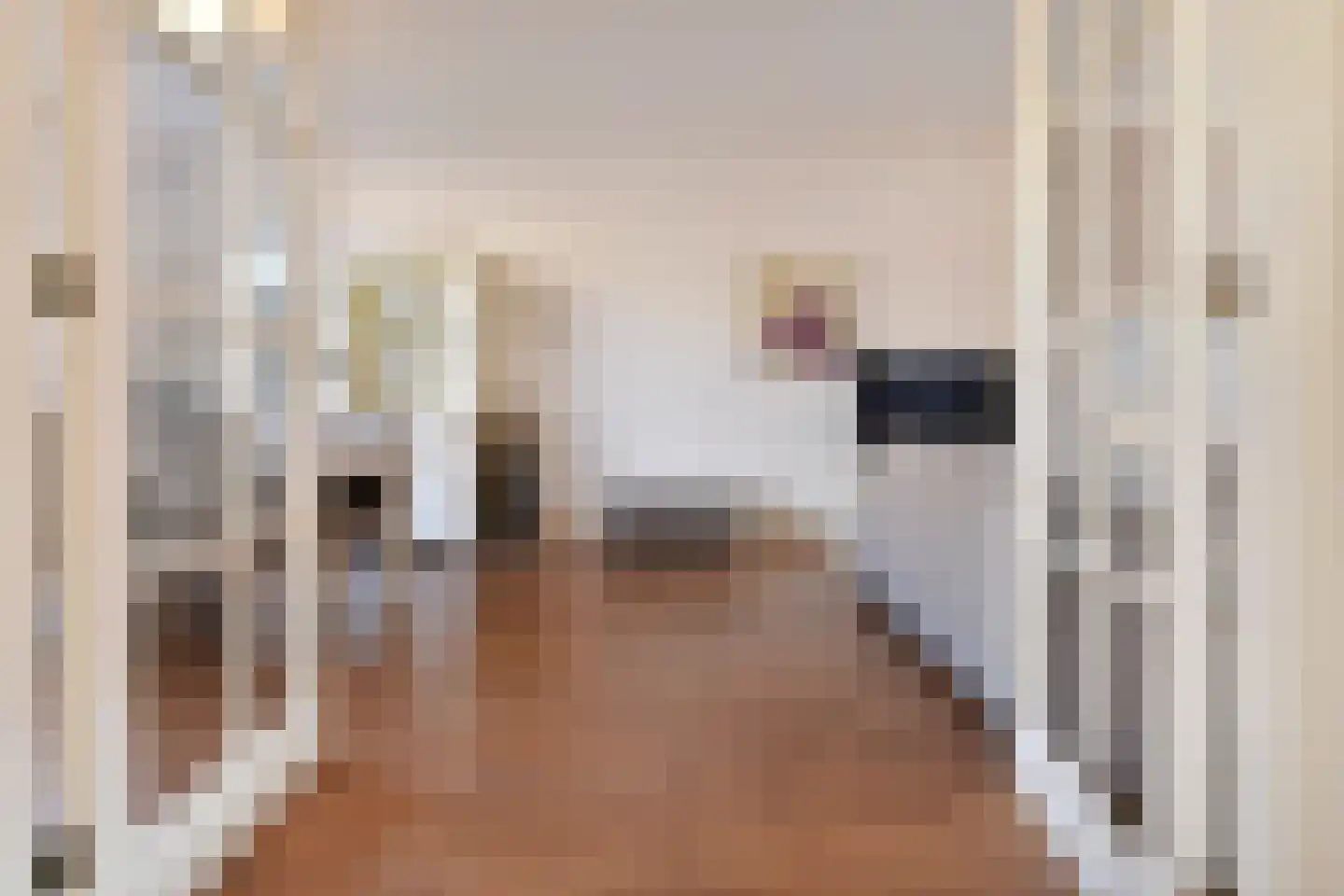 Willem Beukelszoonstraat 24 Den Haag thumbnail 6