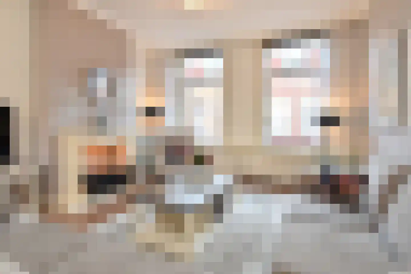 Willem Beukelszoonstraat 24 Den Haag thumbnail 9