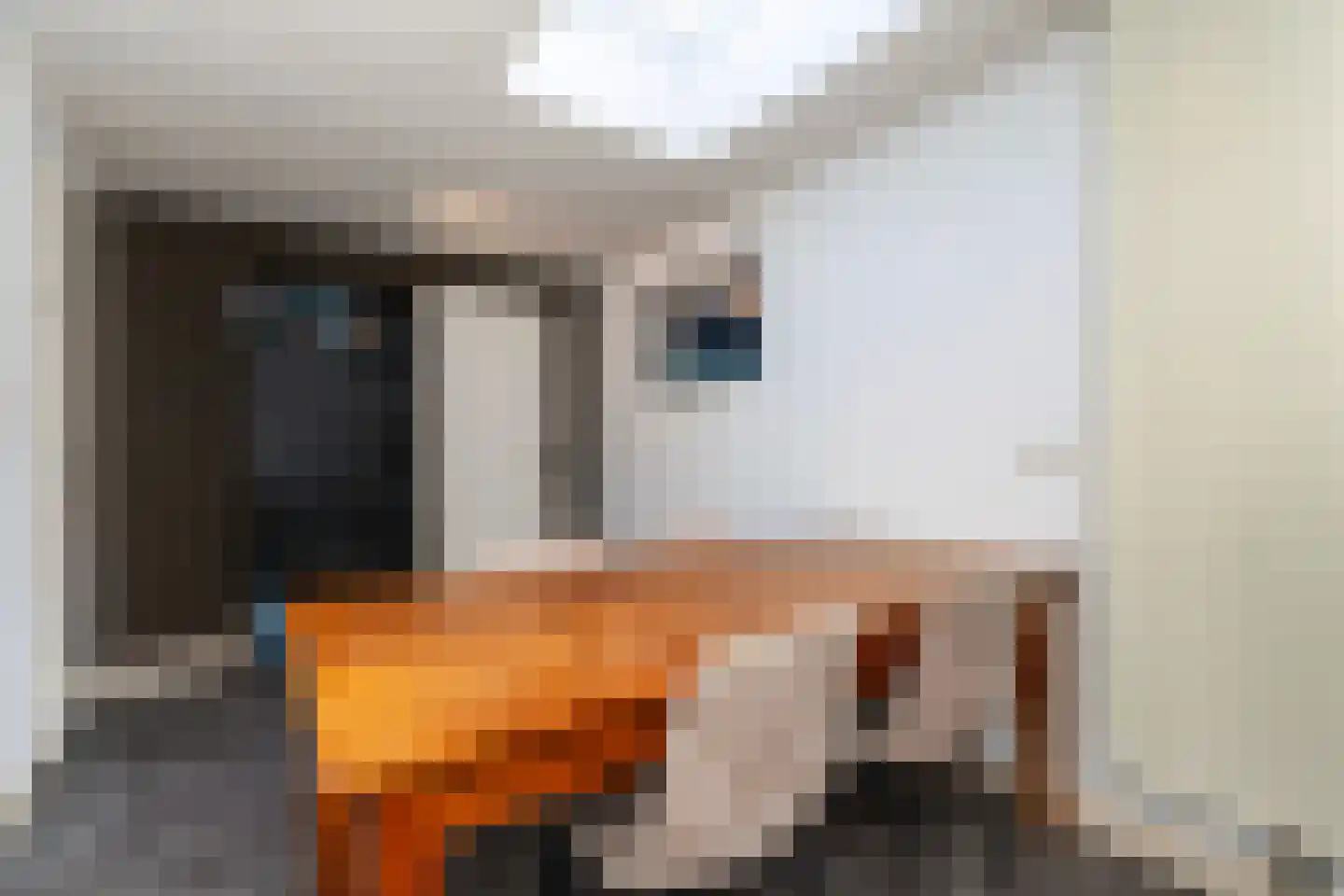 Willem Beukelszoonstraat 29 Vlaardingen thumbnail 13