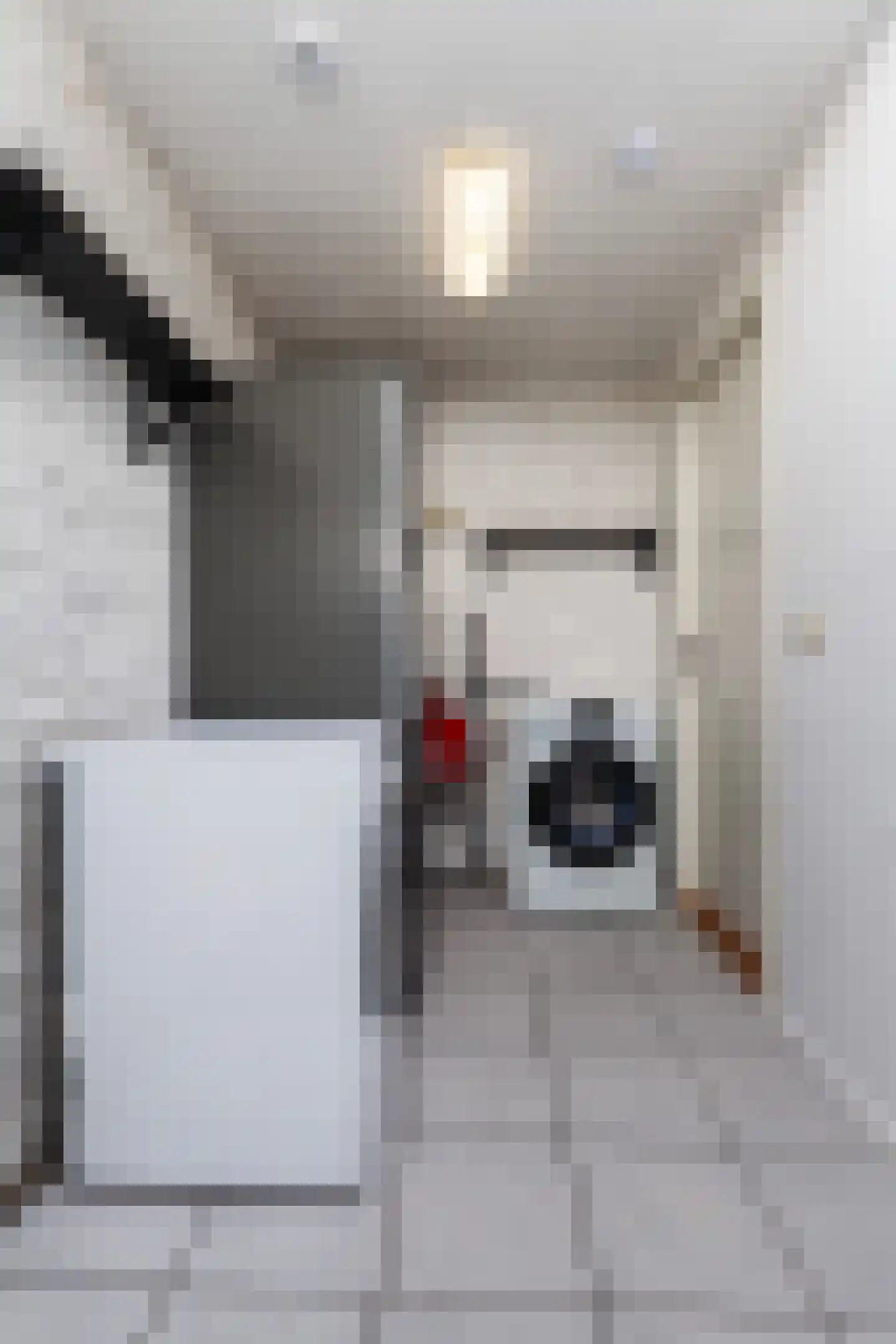 Willem Beukelszoonstraat 29 Vlaardingen thumbnail 17