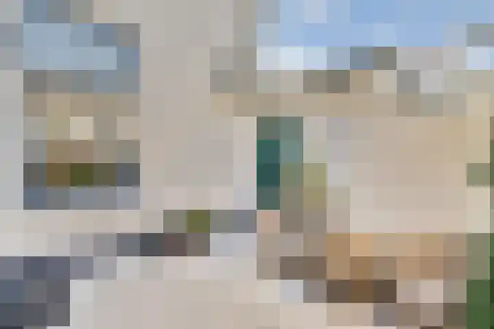Willem Beukelszoonstraat 33 Vlaardingen thumbnail 15