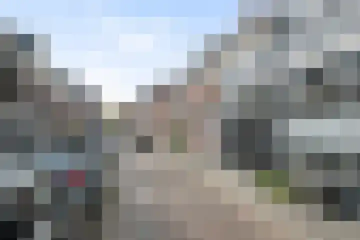 Willem Beukelszoonstraat 35 Vlaardingen thumbnail 30