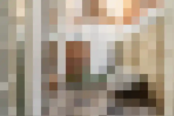 Willem Beukelszoonstraat 46 Den Haag thumbnail 20