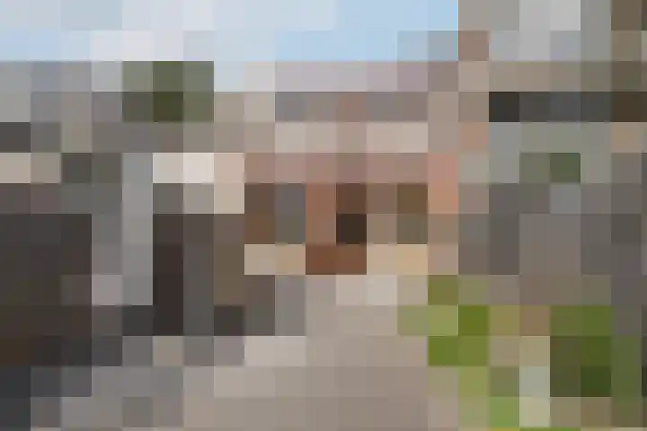 Willem Beukelszoonstraat 48 Vlaardingen thumbnail 20
