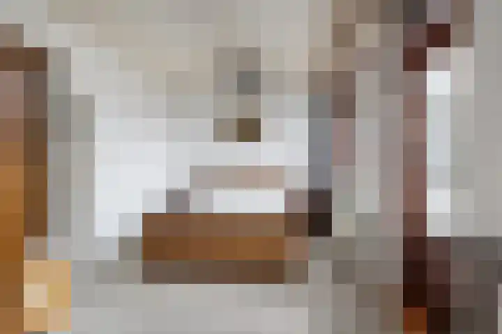 Willem Beukelszoonstraat 48 Vlaardingen thumbnail 4