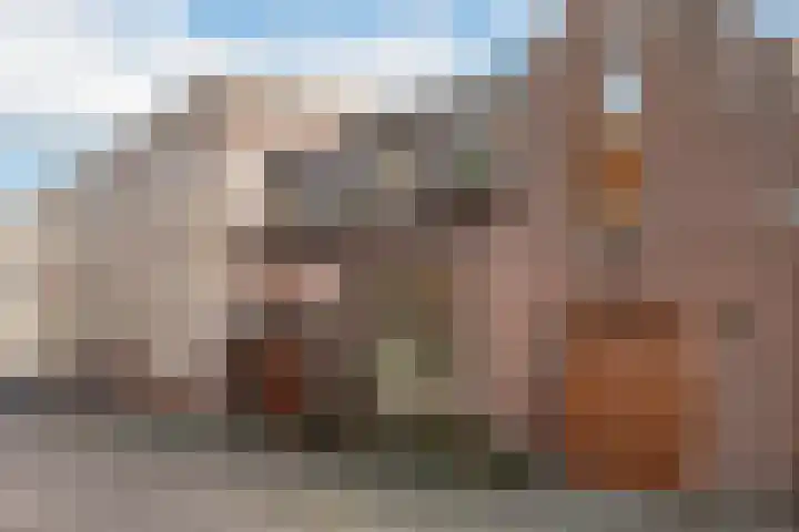 Willem Beukelszoonstraat 48 Vlaardingen thumbnail 6