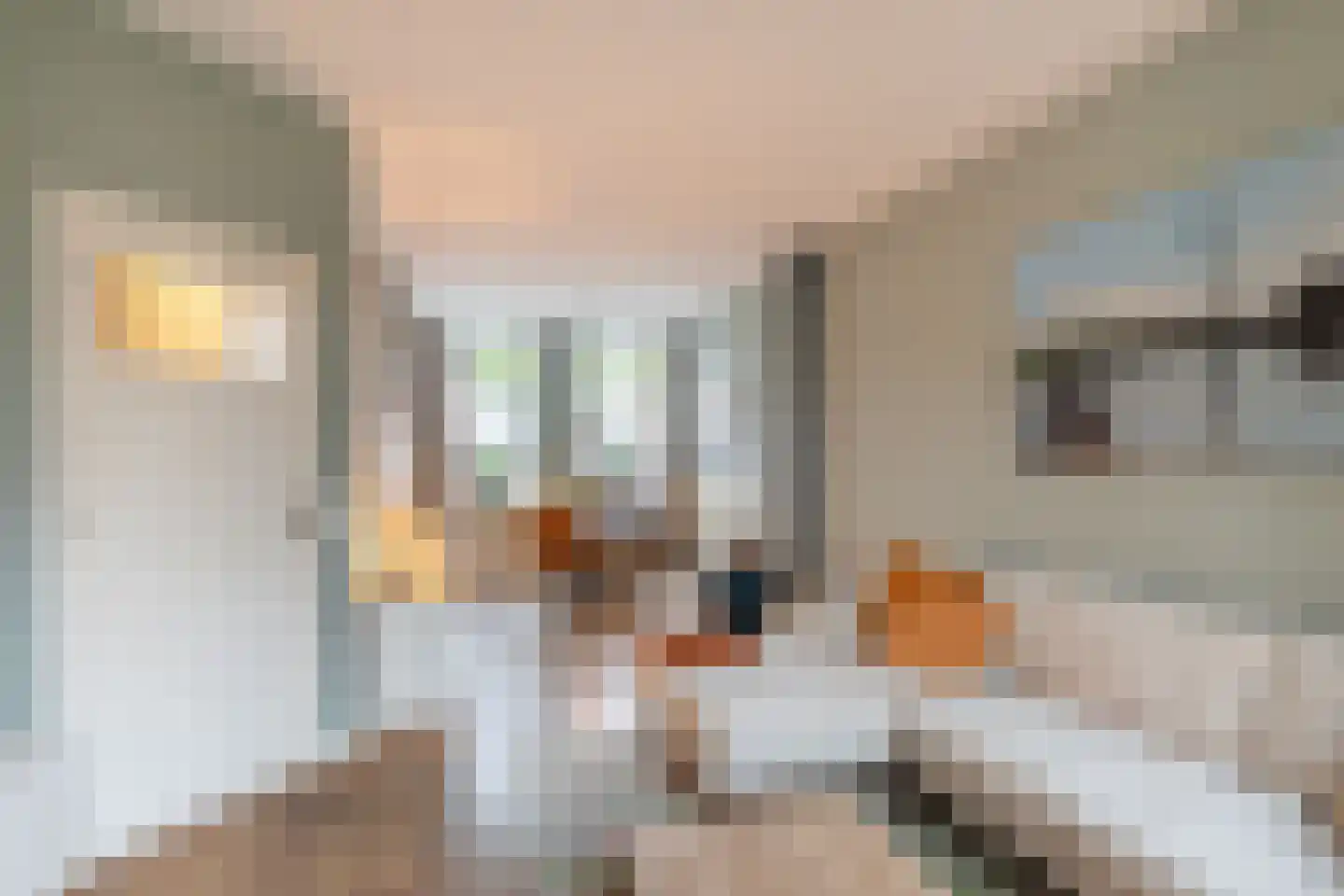 Willem Beukelszoonstraat 94 Vlaardingen thumbnail 11