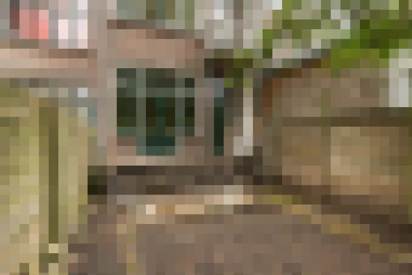 Willem Beukelszstraat 32 B Rotterdam thumbnail 8