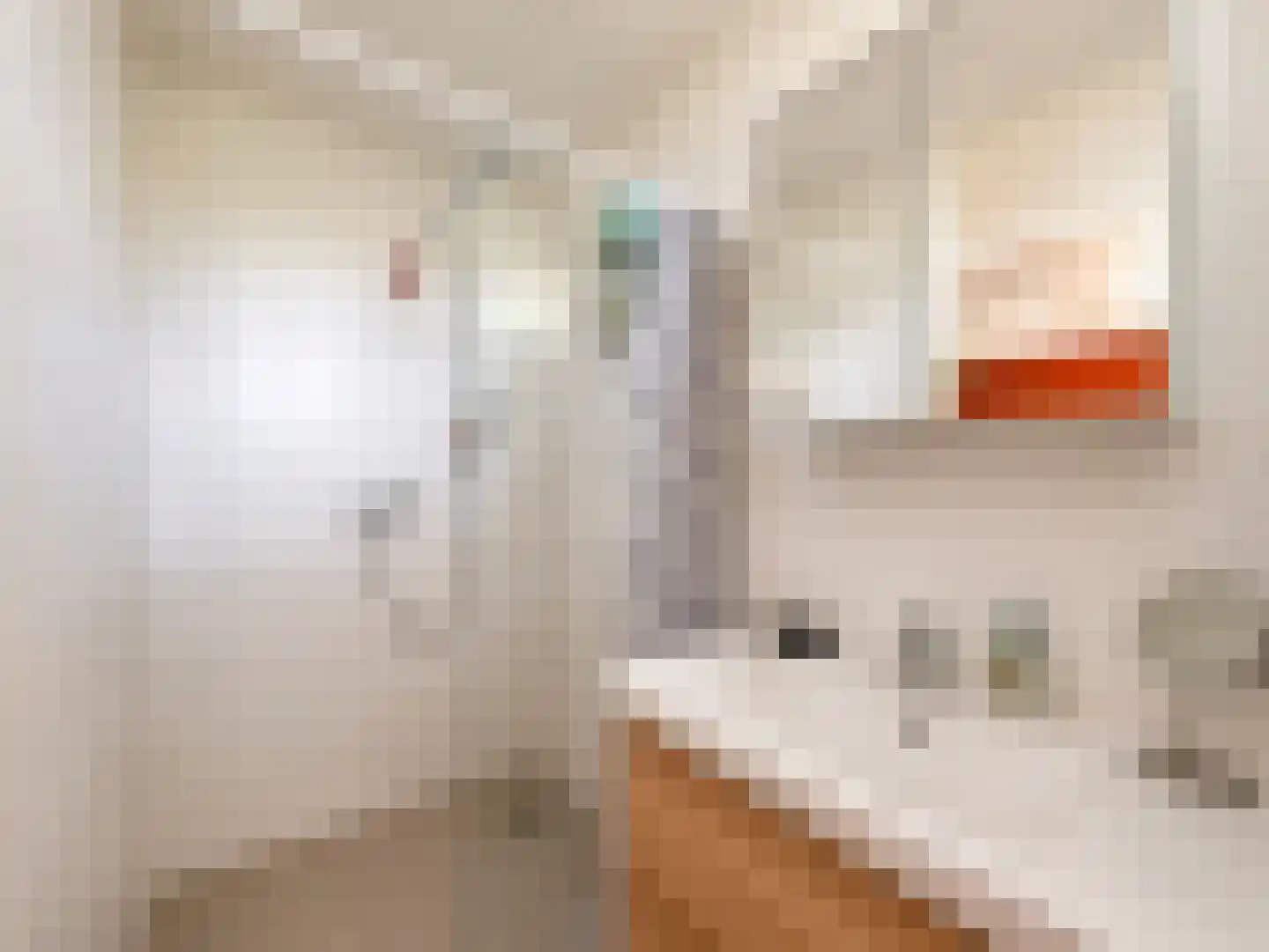 Willem Beukelszstraat 6 B Rotterdam thumbnail 13