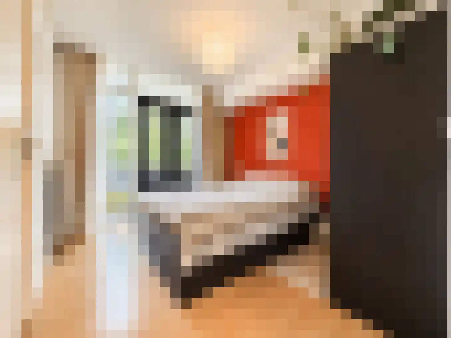 Willem Beukelszstraat 6 B Rotterdam thumbnail 16