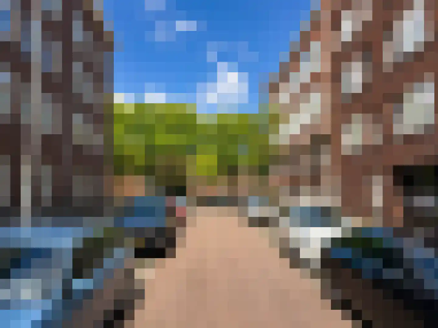 Willem Beukelszstraat 6 B Rotterdam thumbnail 21