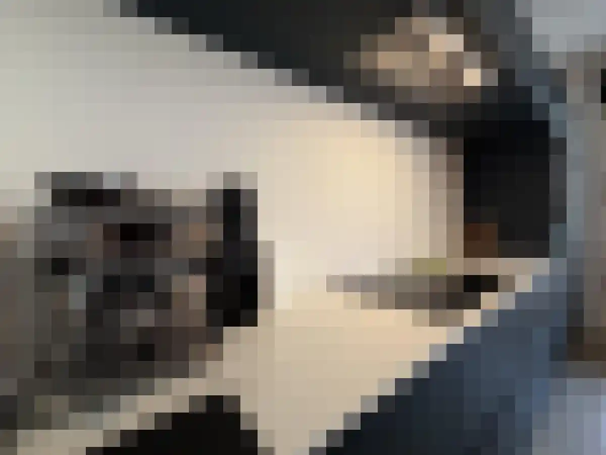 Willem Beukelszstraat 9 Rotterdam thumbnail 6