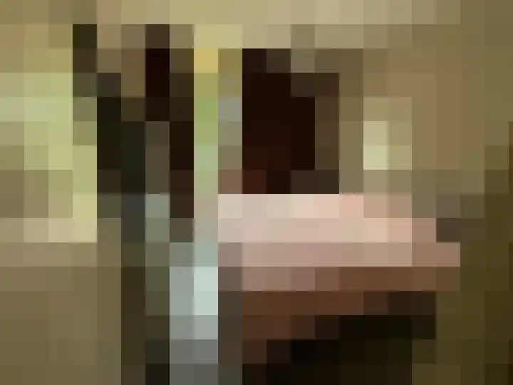 Willem Bilderdijkhof 122 Delft thumbnail 11