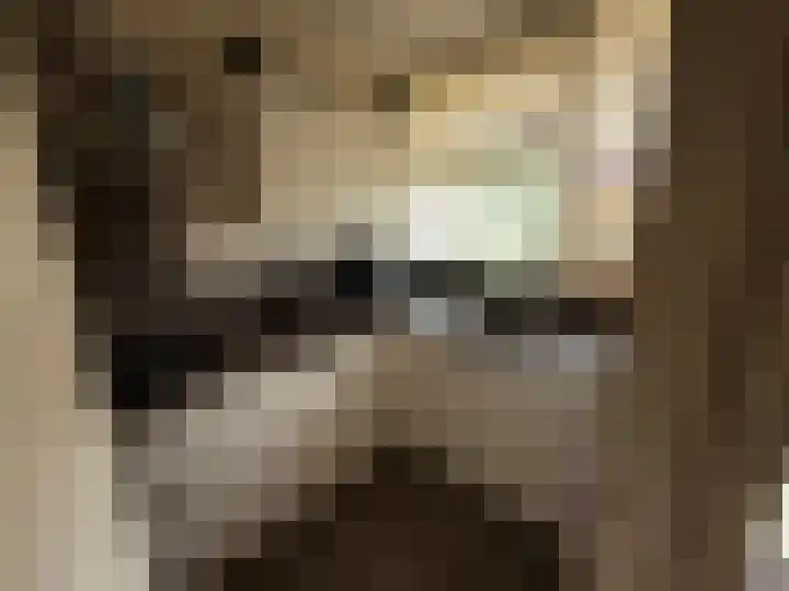 Willem Bilderdijkhof 122 Delft thumbnail 7