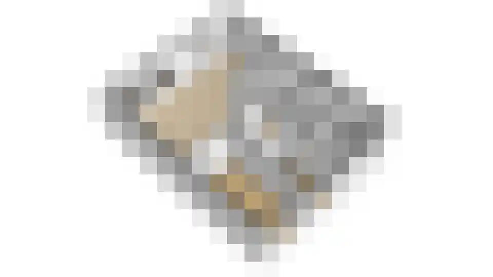 Willem Bilderdijkhof 124 Delft thumbnail 18