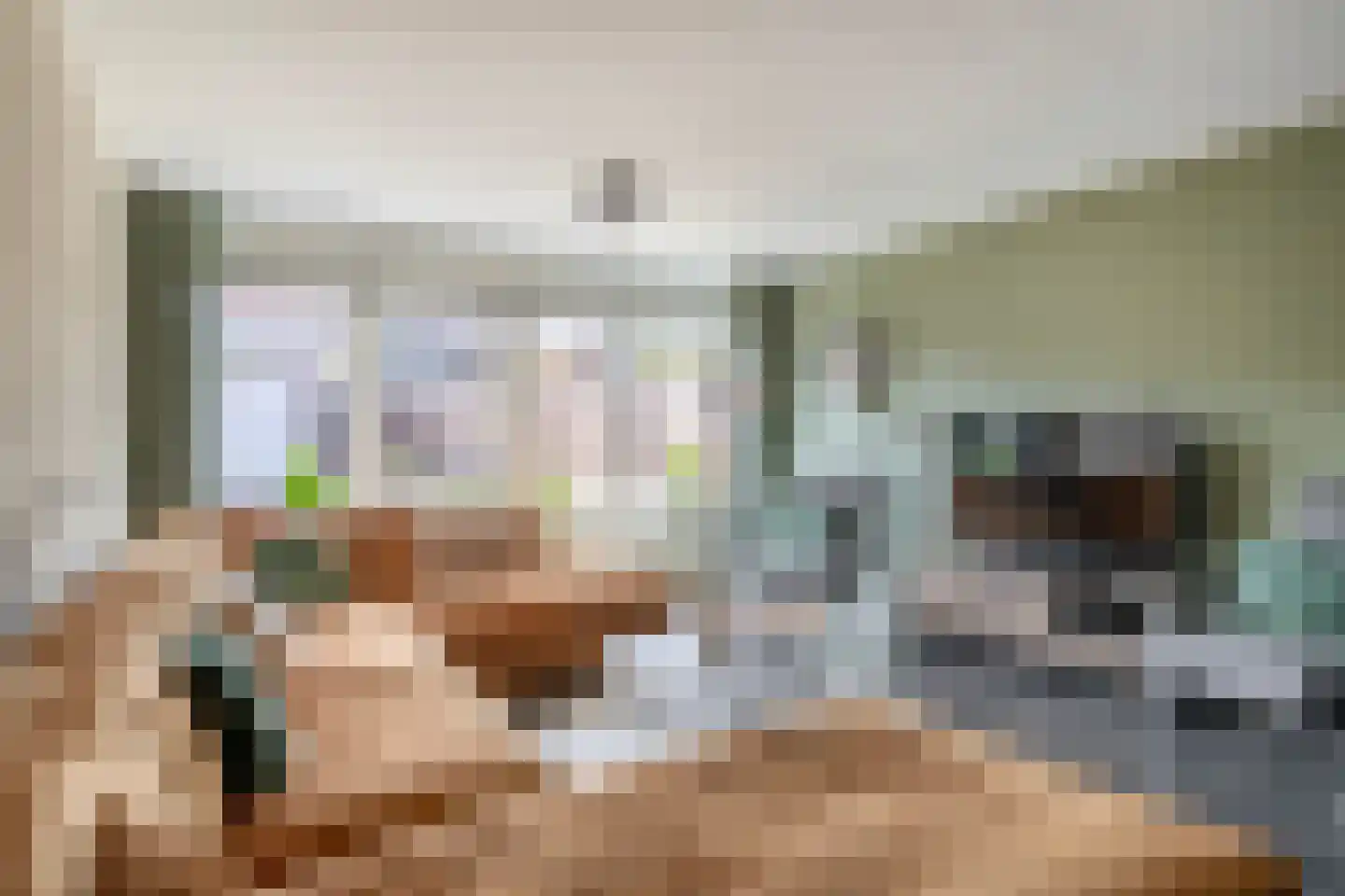 Willem Bilderdijkstraat 18 Sommelsdijk thumbnail 11
