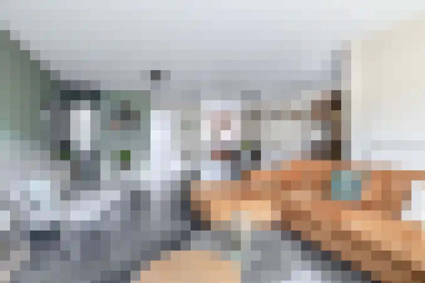 Willem Bilderdijkstraat 18 Sommelsdijk thumbnail 12
