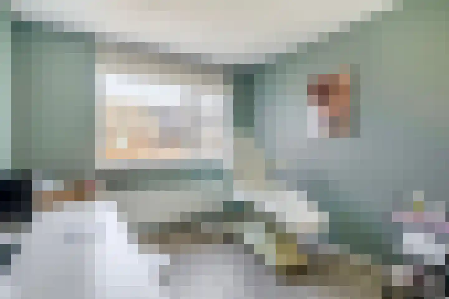 Willem Bilderdijkstraat 18 Sommelsdijk thumbnail 24