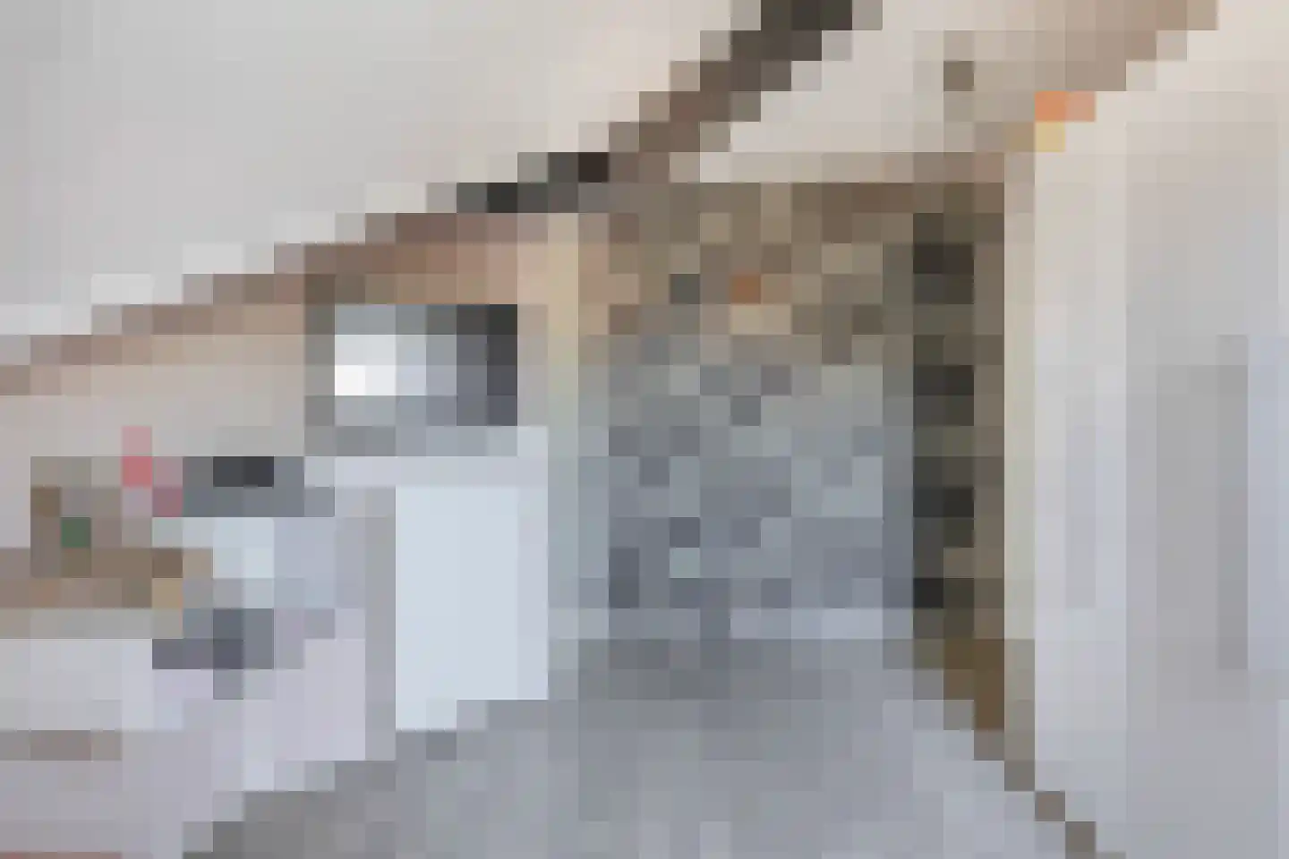 Willem Bilderdijkstraat 18 Sommelsdijk thumbnail 30