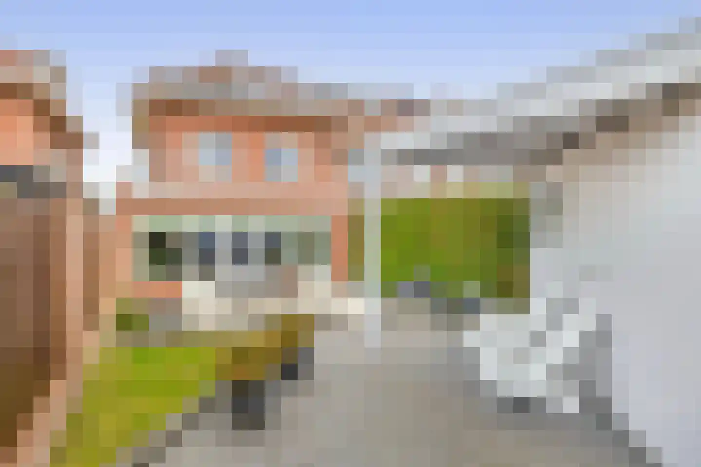 Willem Bilderdijkstraat 18 Sommelsdijk thumbnail 4