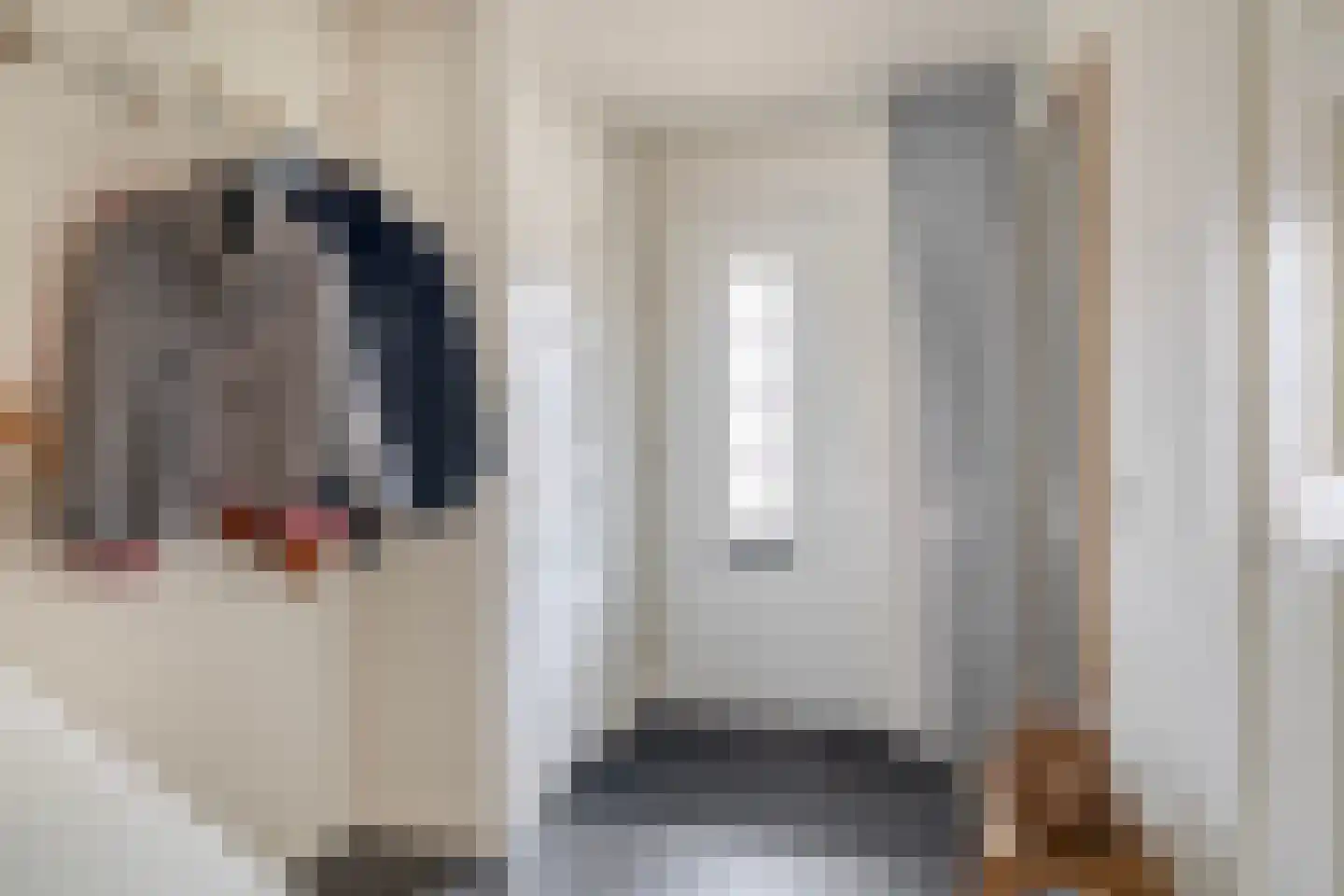 Willem Bilderdijkstraat 18 Sommelsdijk thumbnail 8