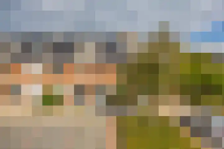 Willem Bilderdijkstraat 29 Sommelsdijk thumbnail 29