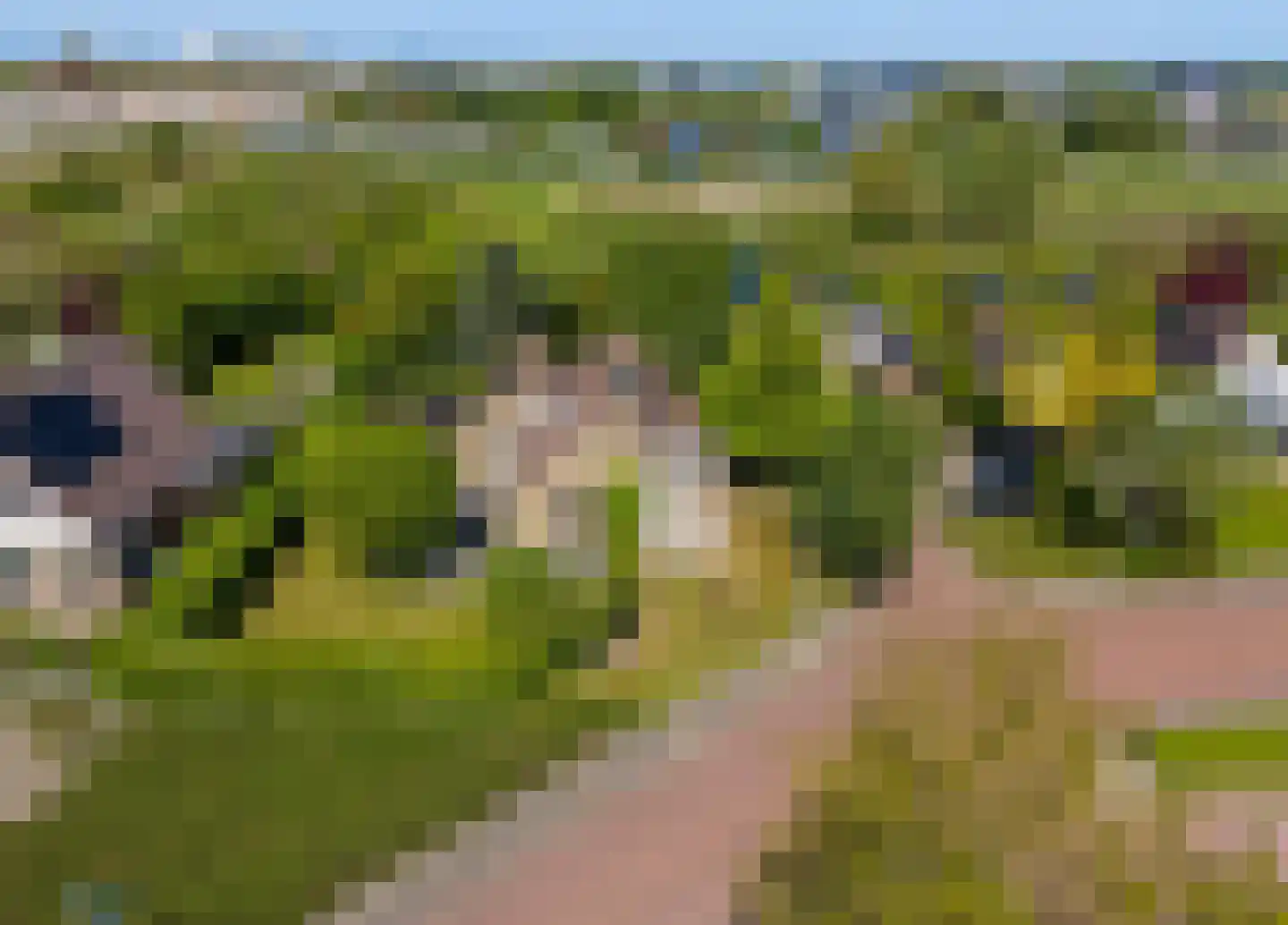 Willem Bilderdijkstraat 7 Harlingen thumbnail 13
