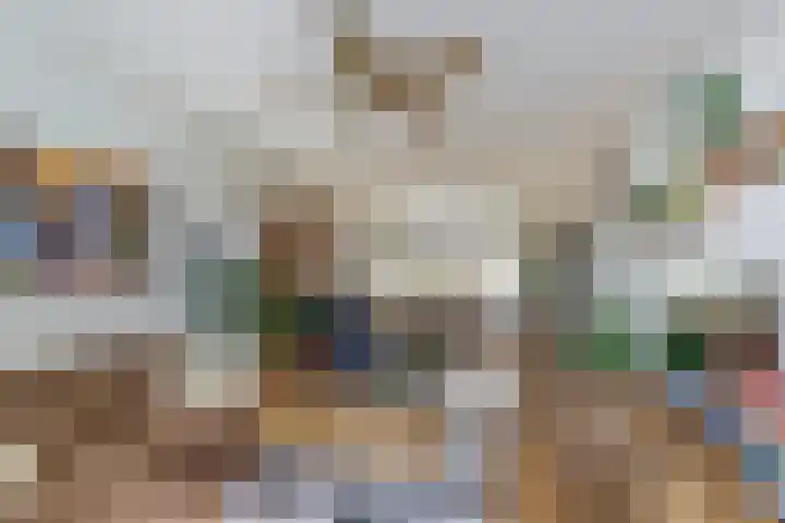 Willem Bontekoesingel 34 Gouda thumbnail 10
