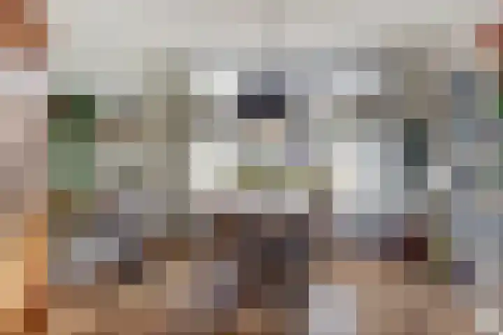 Willem Bontekoesingel 34 Gouda thumbnail 11