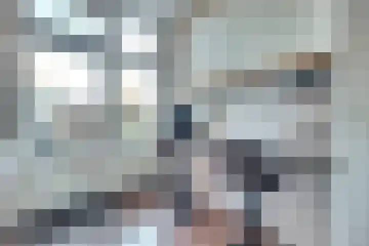 Willem Bontekoesingel 34 Gouda thumbnail 15