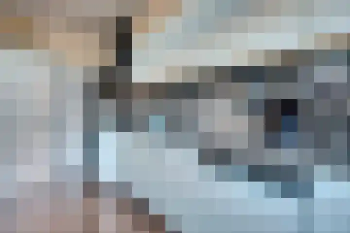 Willem Bontekoesingel 34 Gouda thumbnail 17