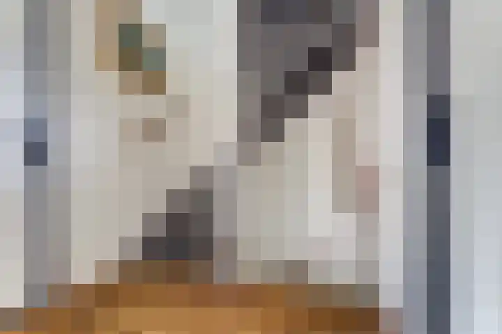 Willem Bontekoesingel 34 Gouda thumbnail 20