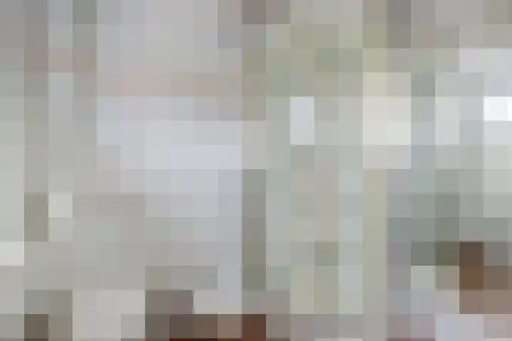 Willem Bontekoesingel 34 Gouda thumbnail 29