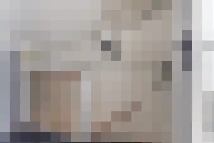 Willem Bontekoesingel 34 Gouda thumbnail 31