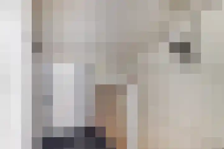 Willem Bontekoesingel 34 Gouda thumbnail 32