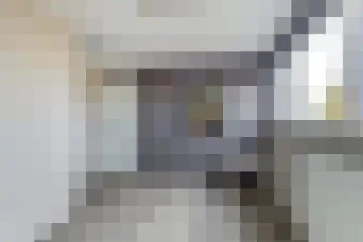 Willem Bontekoesingel 34 Gouda thumbnail 36