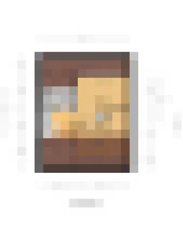 Willem Bontekoesingel 34 Gouda thumbnail 37