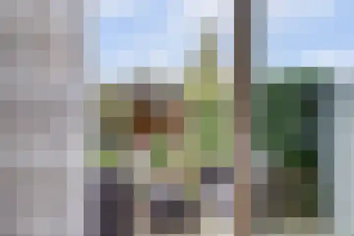 Willem Bontekoesingel 34 Gouda thumbnail 38