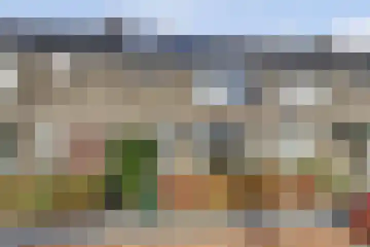 Willem Bontekoesingel 34 Gouda thumbnail 4