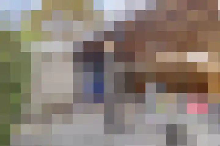 Willem Bontekoesingel 34 Gouda thumbnail 41