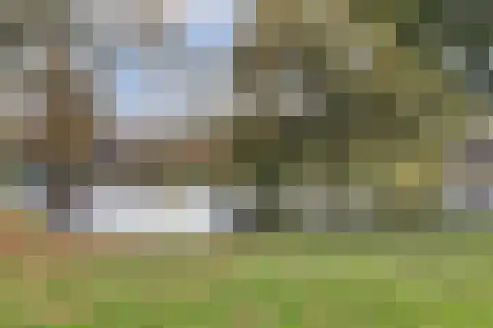 Willem Bontekoesingel 34 Gouda thumbnail 47