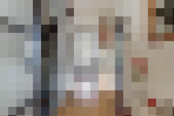 Willem Bontekoesingel 34 Gouda thumbnail 5