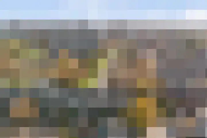 Willem Bontekoesingel 34 Gouda thumbnail 50