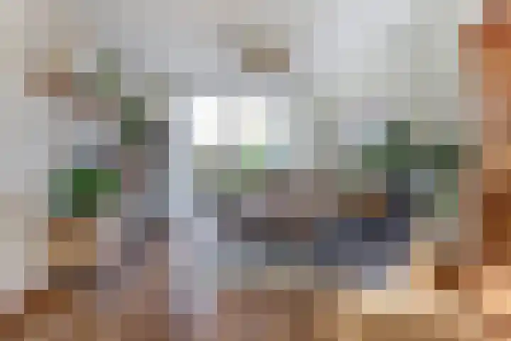 Willem Bontekoesingel 34 Gouda thumbnail 7