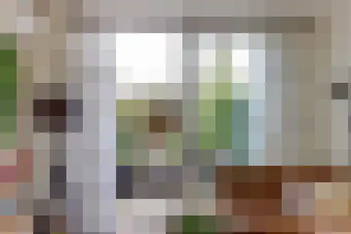 Willem Bontekoesingel 34 Gouda thumbnail 9