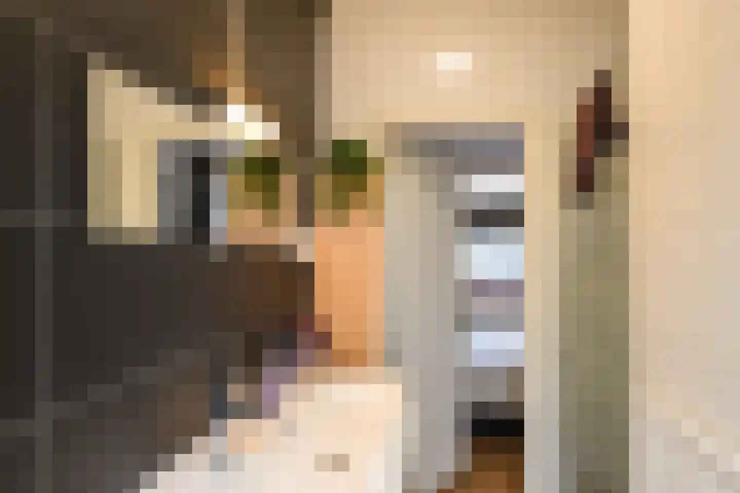 Willem Bontekoestraat 1 Hilversum thumbnail 16