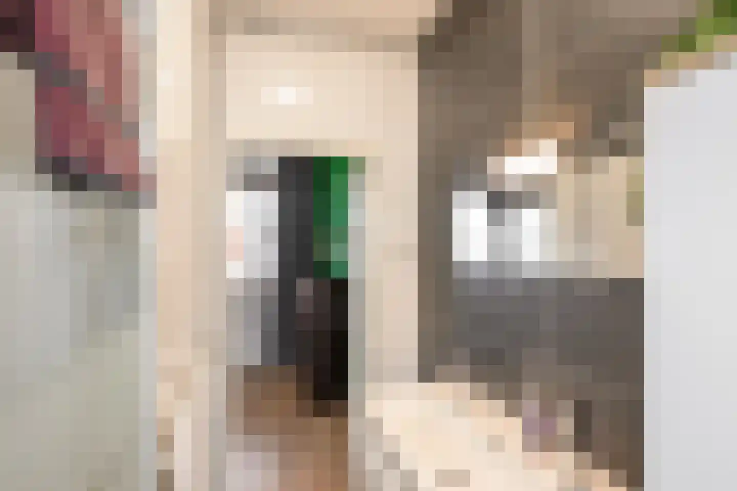 Willem Bontekoestraat 1 Hilversum thumbnail 18