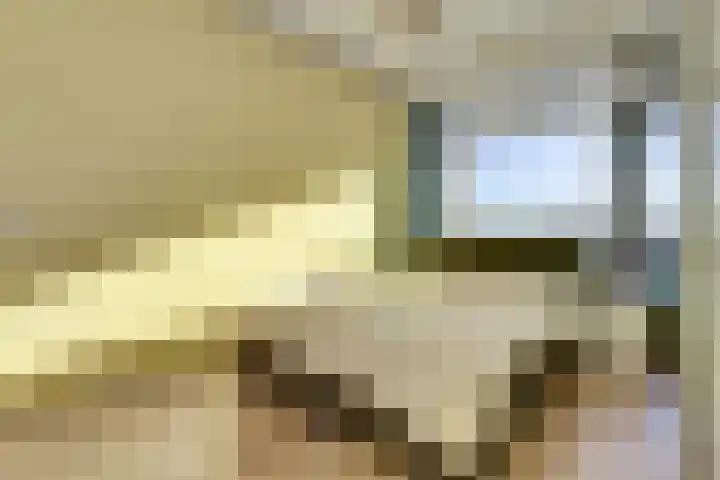 Willem Bontekoestraat 21 Hilversum thumbnail 12