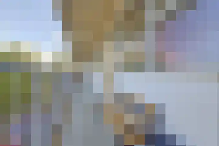 Willem Bontekoestraat 21 Hilversum thumbnail 8
